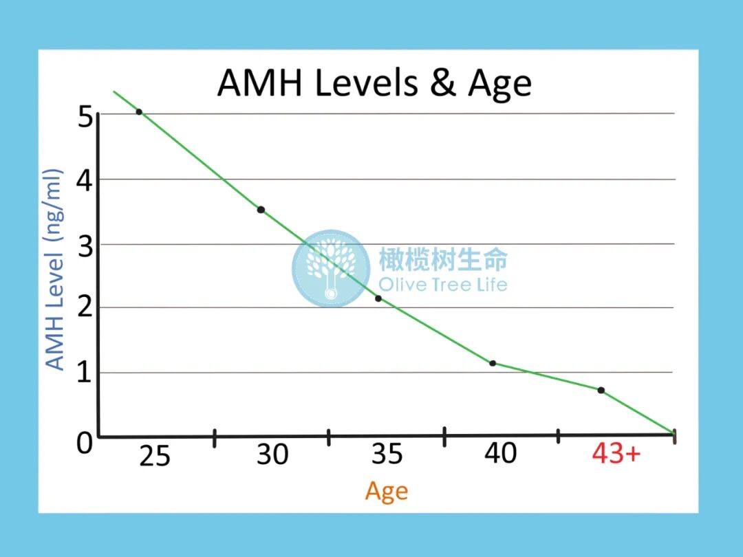 卵巢时间管理大师——AMH