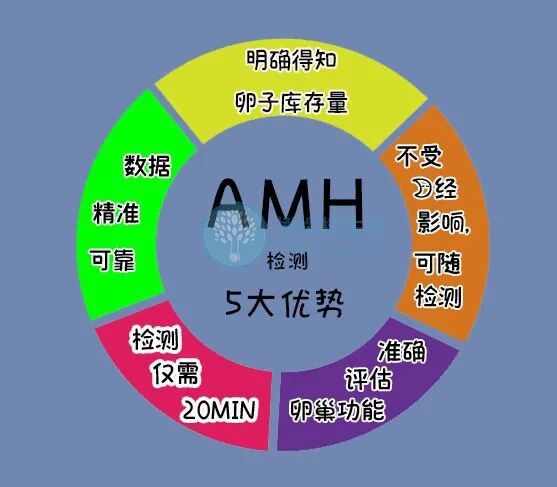 卵巢时间管理大师——AMH