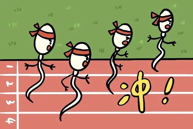 优质精子是“养”出来的，别说你不知道！