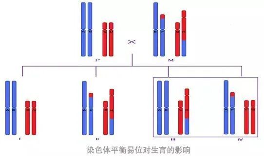 同样都是三代试管，PGS和PGD的区别你了解吗?