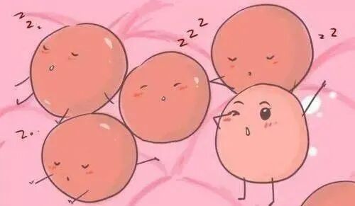 试管促排打的都是激素，会变胖?拜托！不要再造谣了！