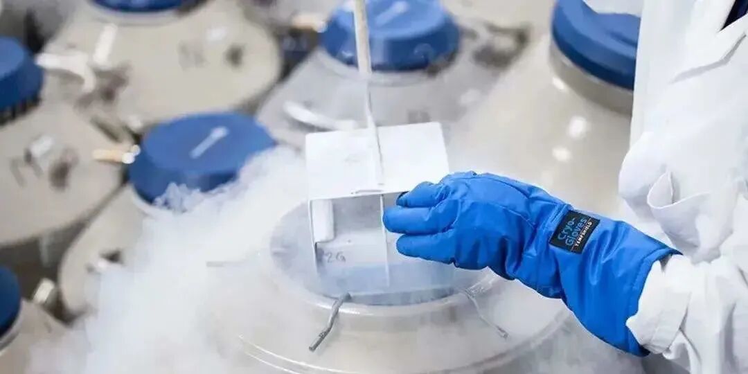 试管婴儿移植后，关于补充黄体酮的问题，今天一文讲清楚！