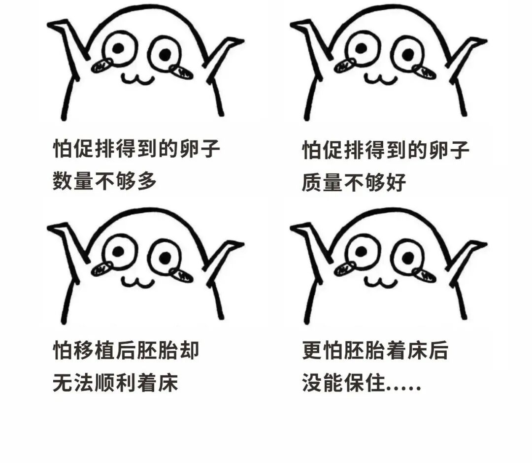 备孕攻略 | 高龄试管做好这3点成功率提升20%