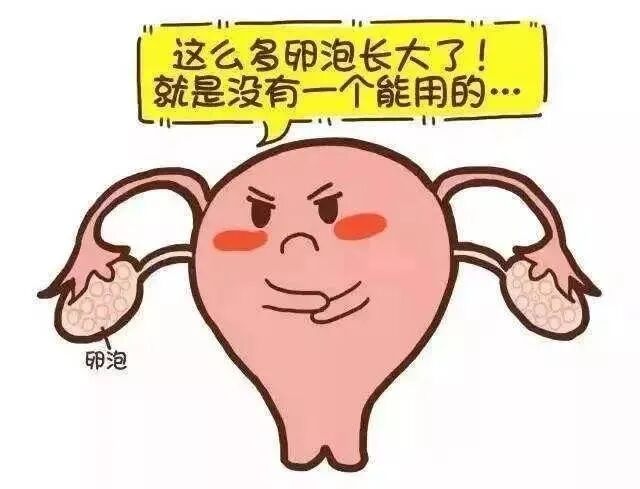卵泡发育不良？这个助孕“神器”请收好！