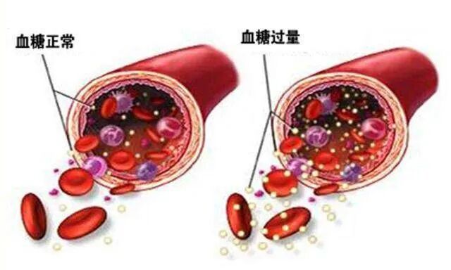 细数肥胖7宗罪，这些影响50%的备孕姐妹都不知道！