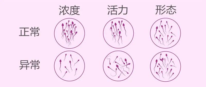 做试管前，这5件事你都了解吗？