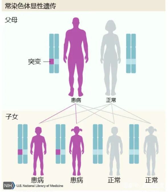 ​父母都健康，为什么孩子会患“无中生有”的遗传病？