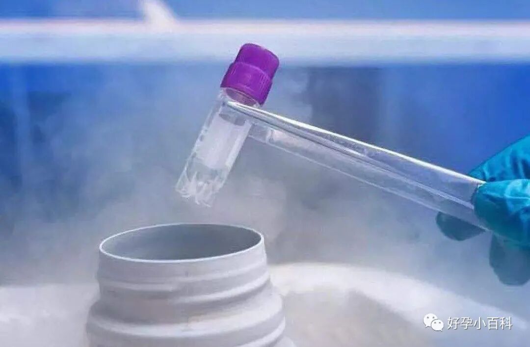 .8万被忽悠，不如好好了解这些试管婴儿知识"