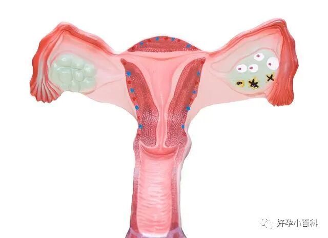 .8万被忽悠，不如好好了解这些试管婴儿知识"