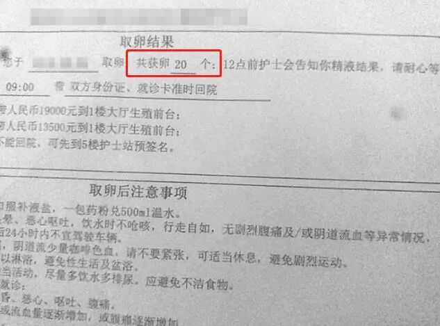 卵子也"内卷"！为何她的卵子数和我的不一样?