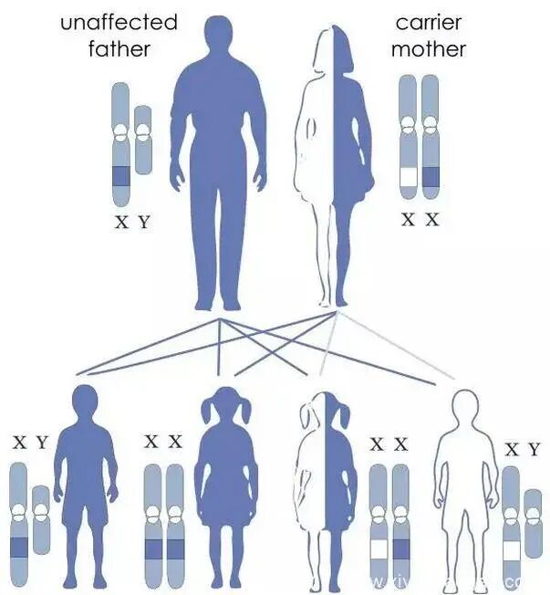 传男不传女的不是只有武功秘籍！还有这个……