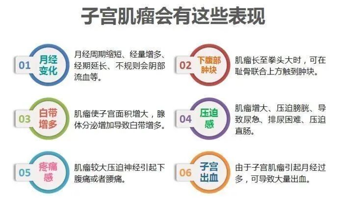 当试管碰上子宫肌瘤，「切」还是「不切」?