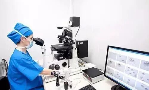 "地贫"患者孕育福音 三代试管省掉100万