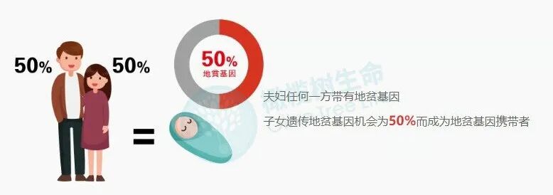 "地贫"患者孕育福音 三代试管省掉100万