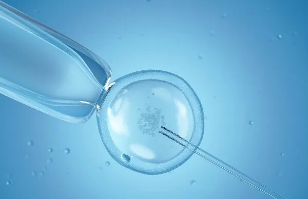 男性年龄大也不好生娃，这些影响你绝对想不到！