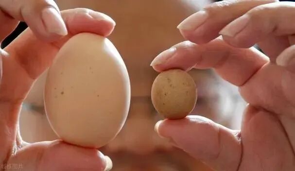 男性年龄大也不好生娃，这些影响你绝对想不到！