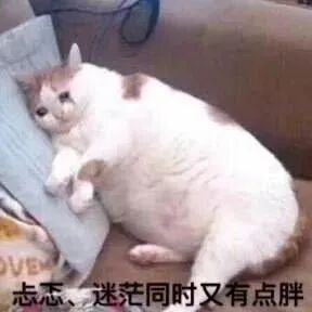 做试管会变老、变胖？知道真相的我眼泪掉下来