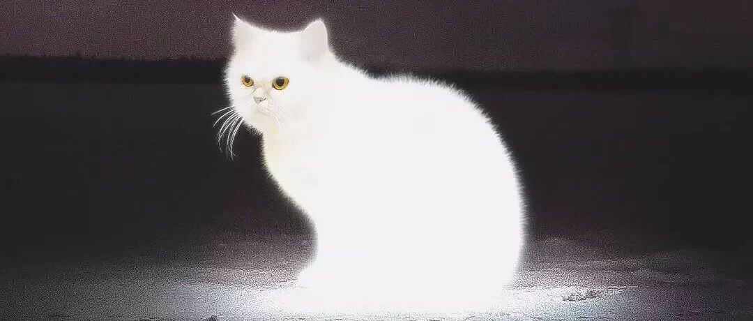 真·大神！P图P出逆天境界！