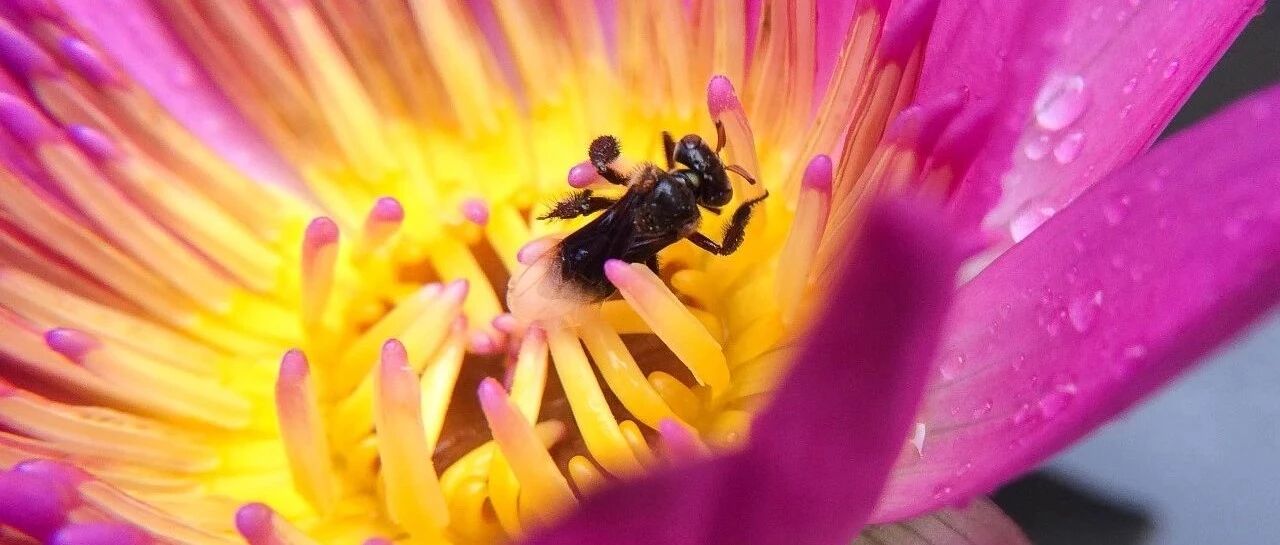 我可能买了个假手机，要不然为什么拍照那么丑？