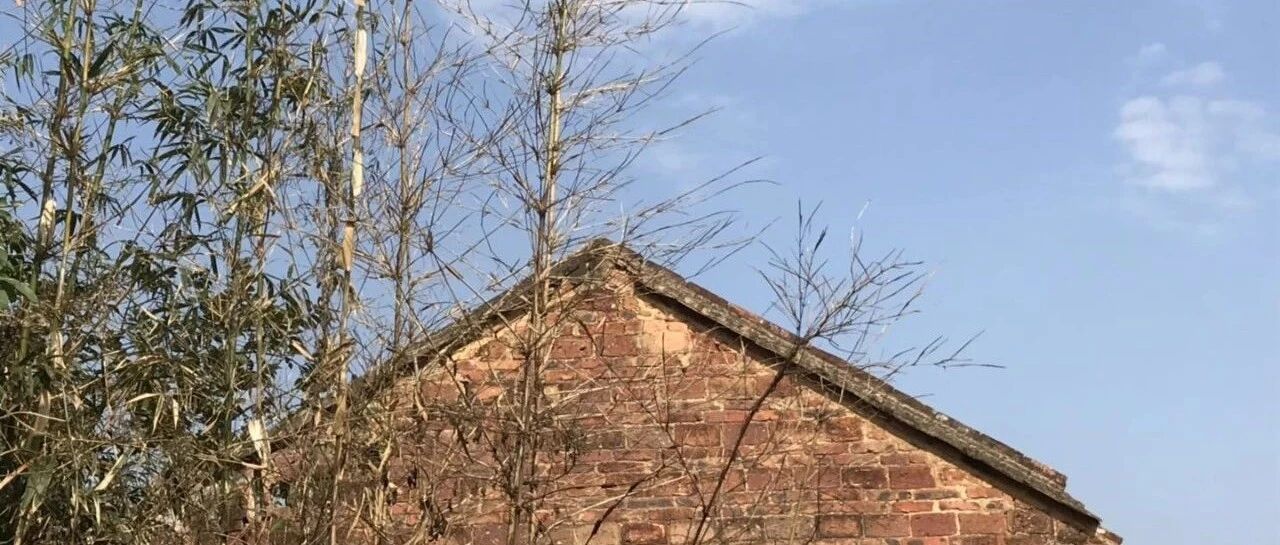 为什么要背井离乡？