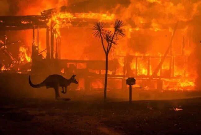 �ܺ�����ʺ�������������α������������������·��Խ��ԽԶ