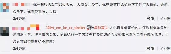 刘鑫大骂江歌母亲“无耻，你不配做江歌妈妈”，引无数人怒喷其又吃人血馒头 - 19