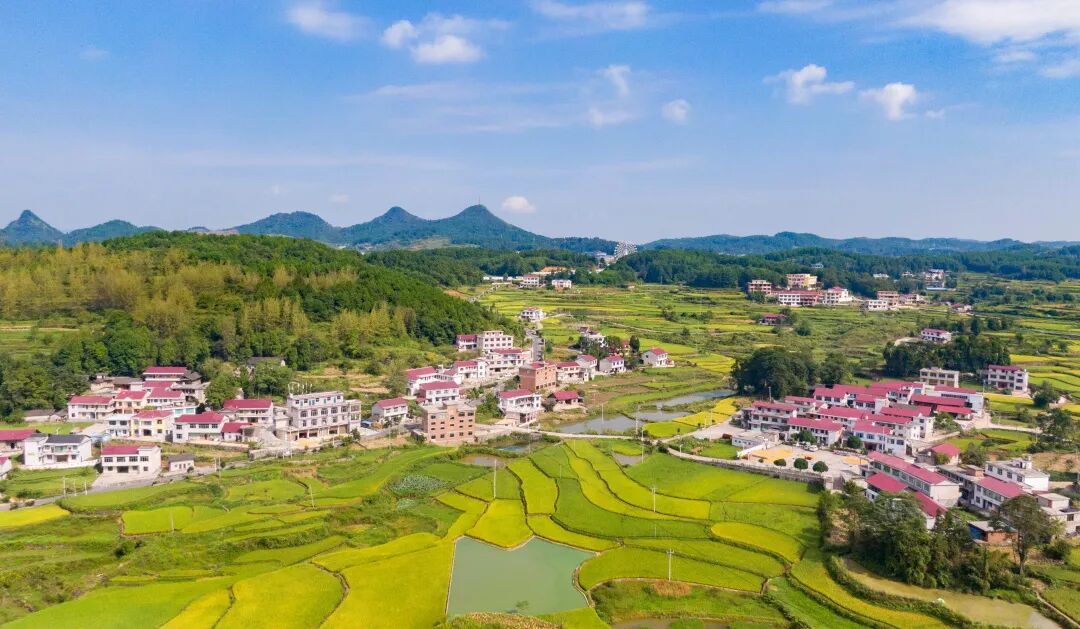 践行嘱托十年间丨万山:"软硬件"齐发力 乡村振兴添动力
