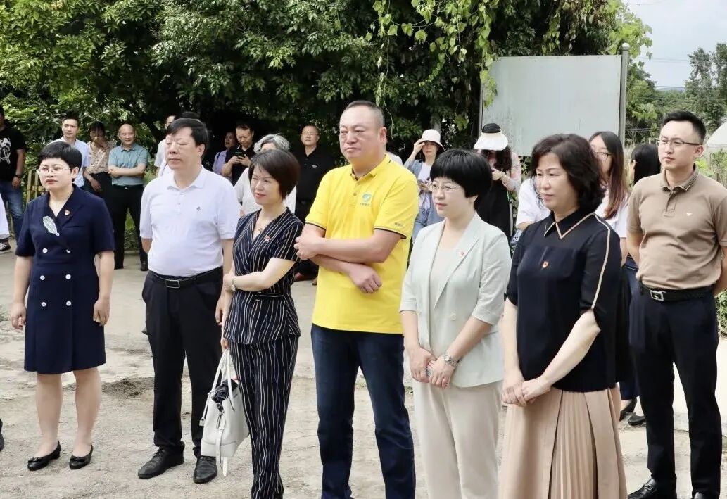 献礼二十大，助力乡村振兴