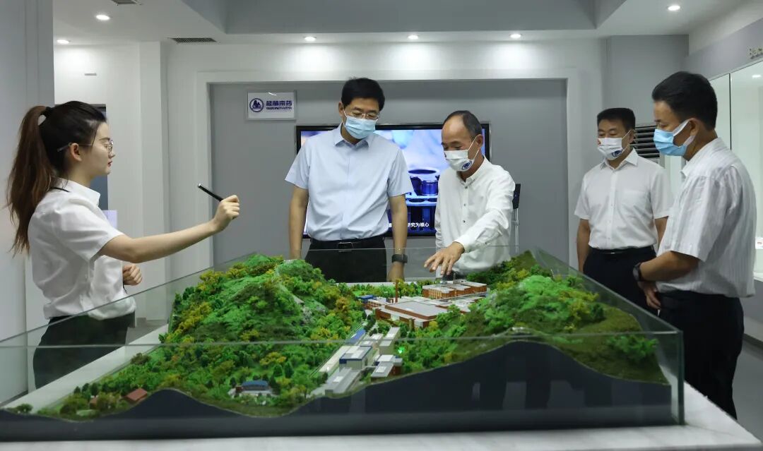 桂林市市委書記周家斌率隊到桂林南藥調(diào)研指導(dǎo)工作