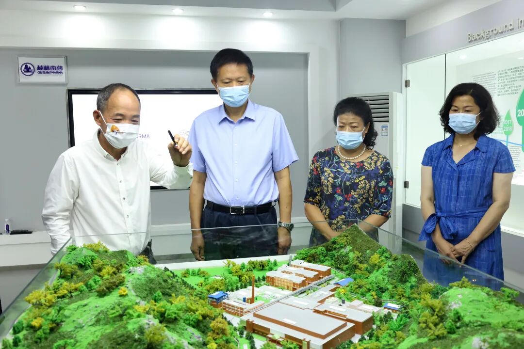 廣西政協(xié)副主席費(fèi)志榮蒞臨桂林南藥考察調(diào)研