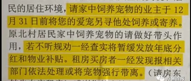 小区发通知禁止全体业主饲养宠物：违者影响年底分红！