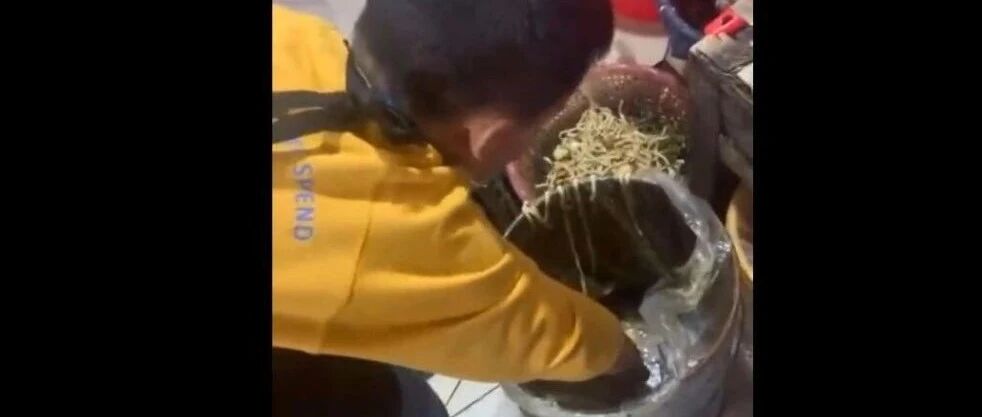 抱怨读书苦,妈妈罚孩子泔水桶捡面条 网友吵翻,有专家表示支持