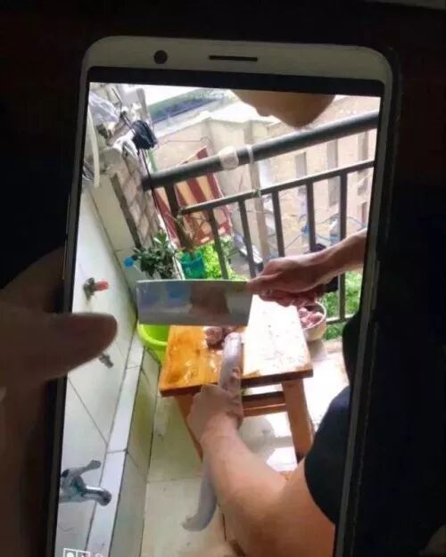 蛇溜進(jìn)宿舍被學(xué)生剝皮燉湯食用 校方:已對(duì)學(xué)生批評(píng)