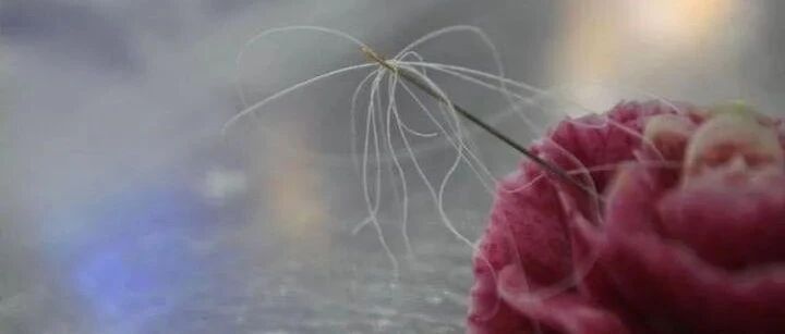 拉面穿针眼、手上切豆腐丝...高招会上院校现场battle，看着看着就饿了！