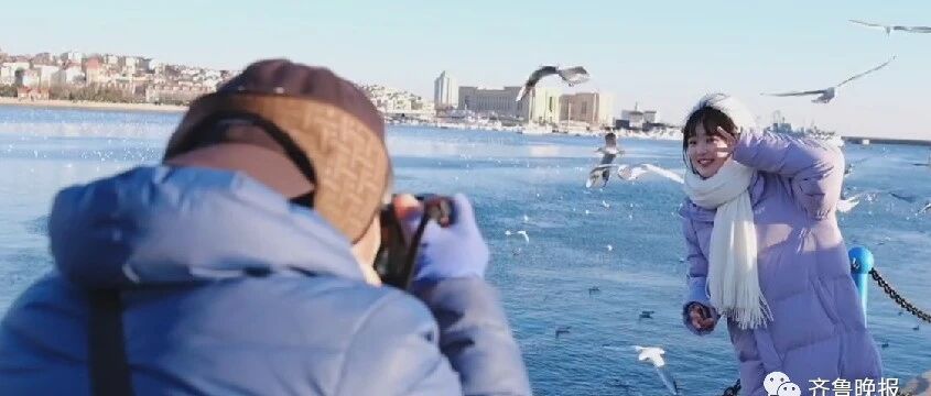 青岛栈桥的“23号大爷”火了！网友：让海鸥都嫉妒的男人