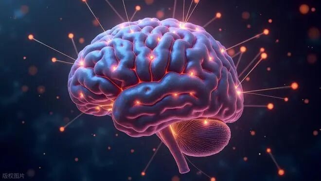 大脑开始萎缩，多吃3种食物，有助于“健脑”
