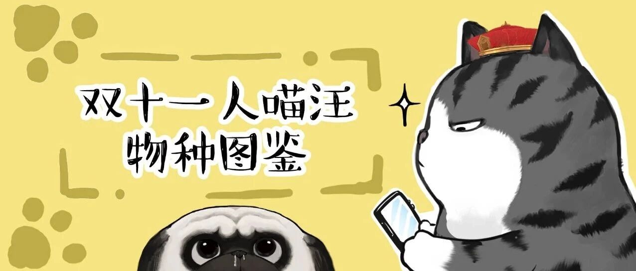 十一月你好，今天你付尾款了吗？