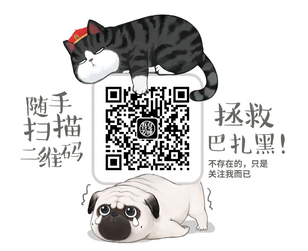 猫狗双全的我,却享受到了孤独的滋味-微信头条网 猫狗双全的我,却享受到了孤独的滋味