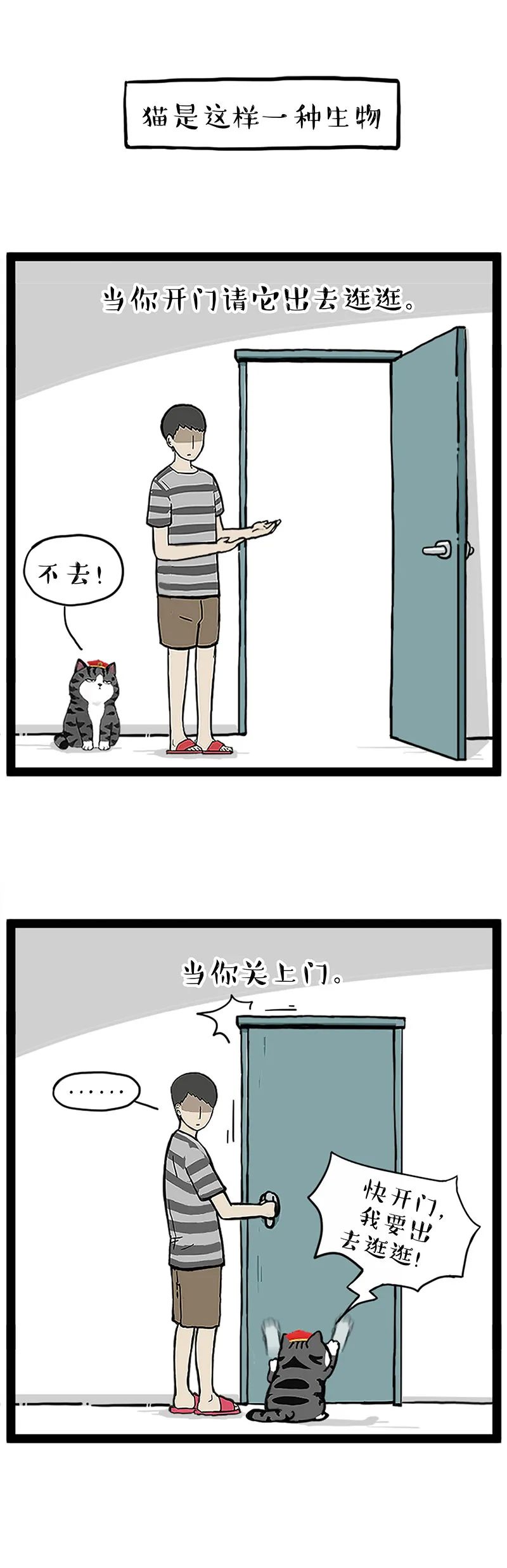 猫狗双全的我,却享受到了孤独的滋味-微信头条网 猫狗双全的我,却享受到了孤独的滋味
