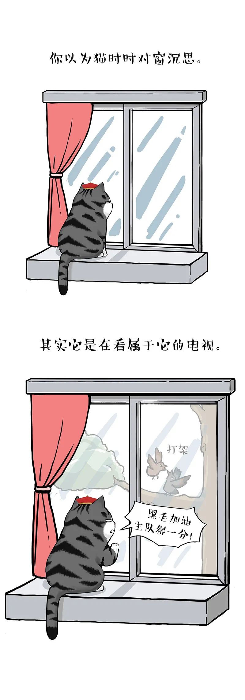 猫狗双全的我,却享受到了孤独的滋味-微信头条网 猫狗双全的我,却享受到了孤独的滋味
