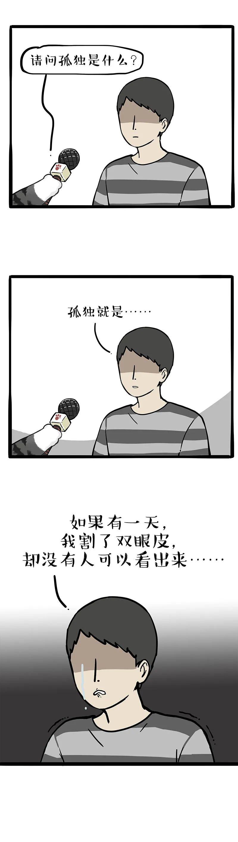 猫狗双全的我,却享受到了孤独的滋味-微信头条网 猫狗双全的我,却享受到了孤独的滋味