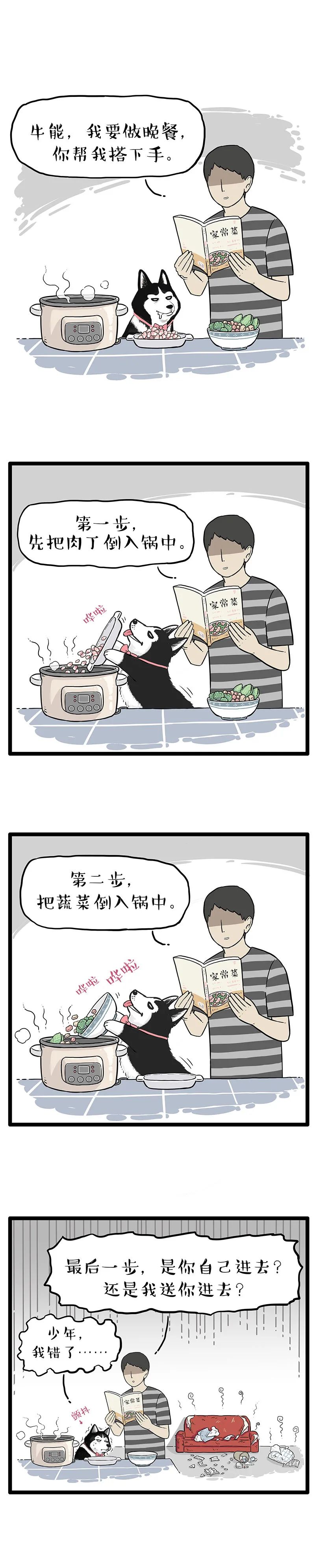 猫狗双全的我,却享受到了孤独的滋味-微信头条网 猫狗双全的我,却享受到了孤独的滋味