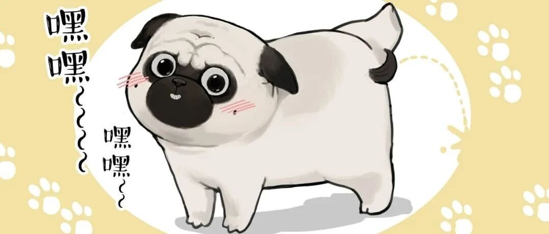 狗狗的每一泡尿，都在诉说它的生活