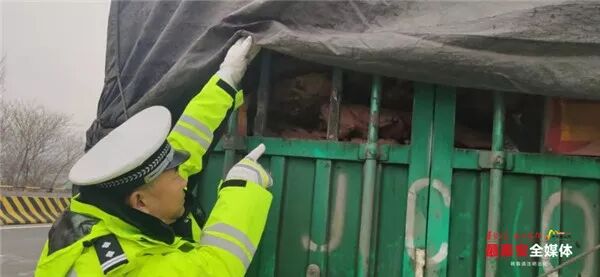 不要告诉别人（鲜鸭怎么冷冻保存）鸭胗冷冻能保存多久，(图2)