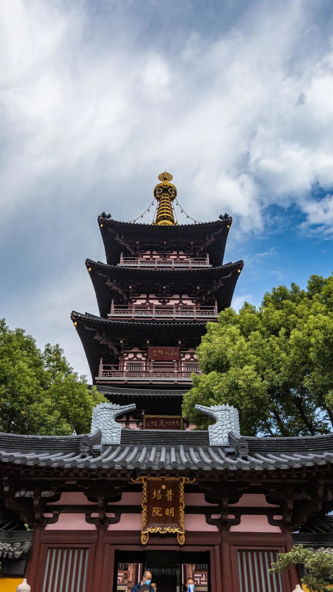 不负青春 勇敢逐梦|南白画室2024年暑假班招生简章