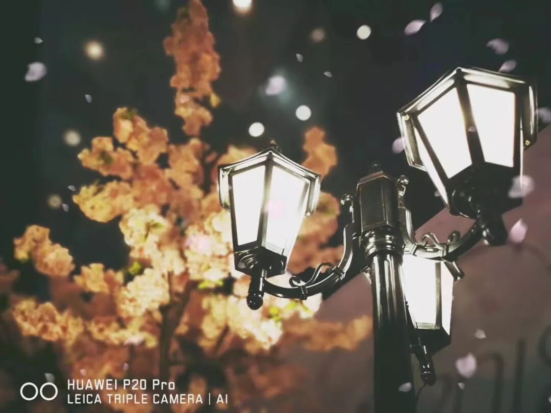 2018，華為手機中的精彩瞬間 科技 第15張