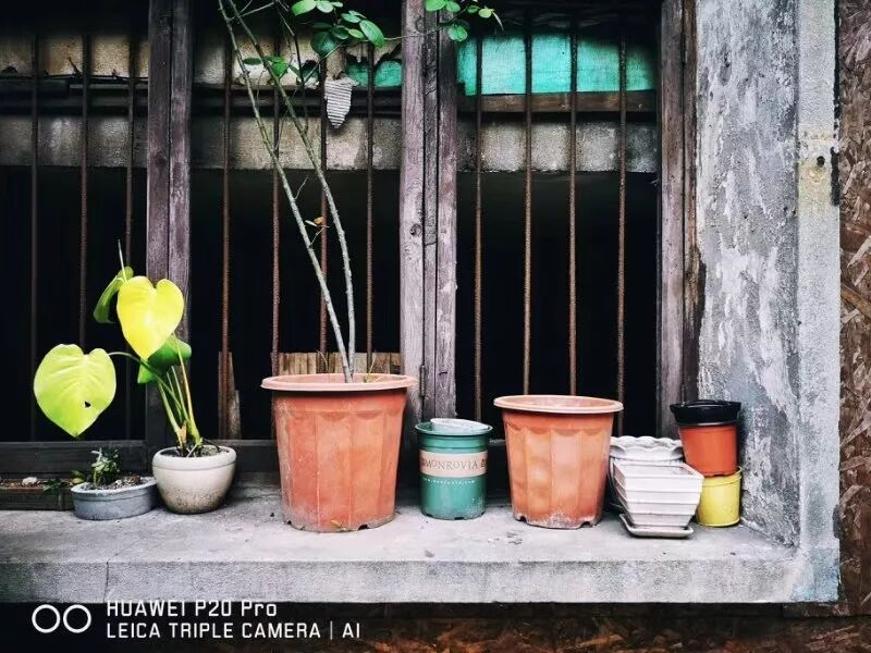 2018，華為手機中的精彩瞬間 科技 第54張