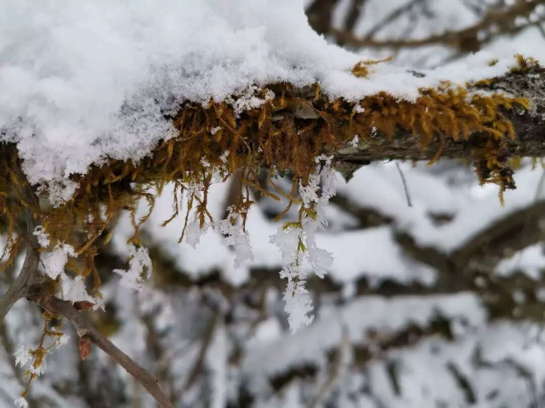 2018，華為手機中的精彩瞬間 科技 第29張