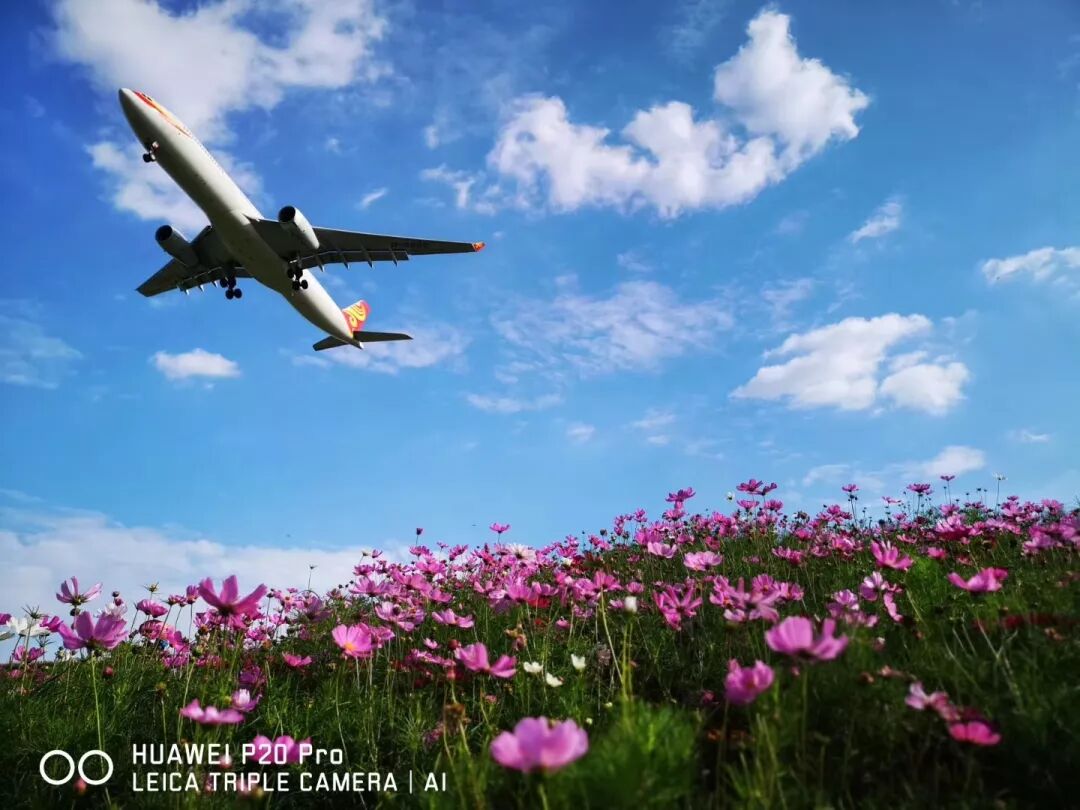 2018，華為手機中的精彩瞬間 科技 第12張