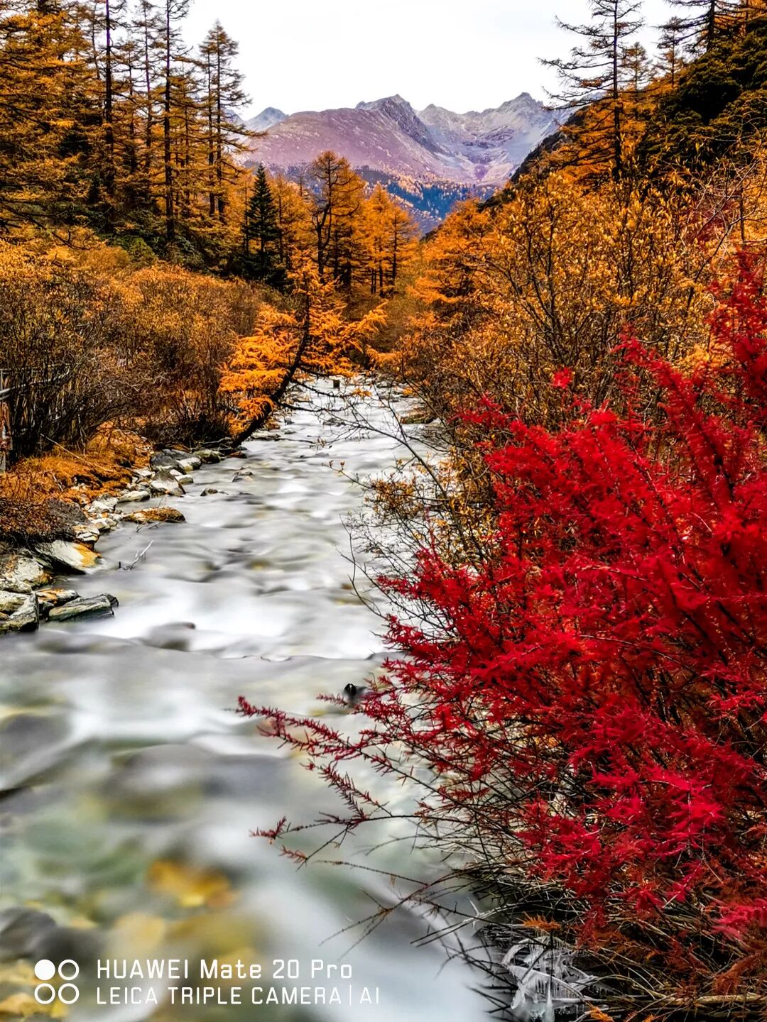 2018，華為手機中的精彩瞬間 科技 第23張